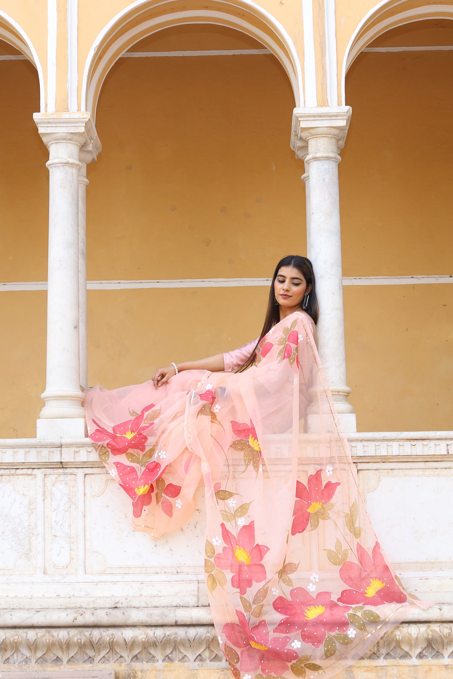Niharika – Hand-Painted Organza Saree